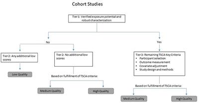 Systematic review of the scientific evidence of the pulmonary carcinogenicity of talc